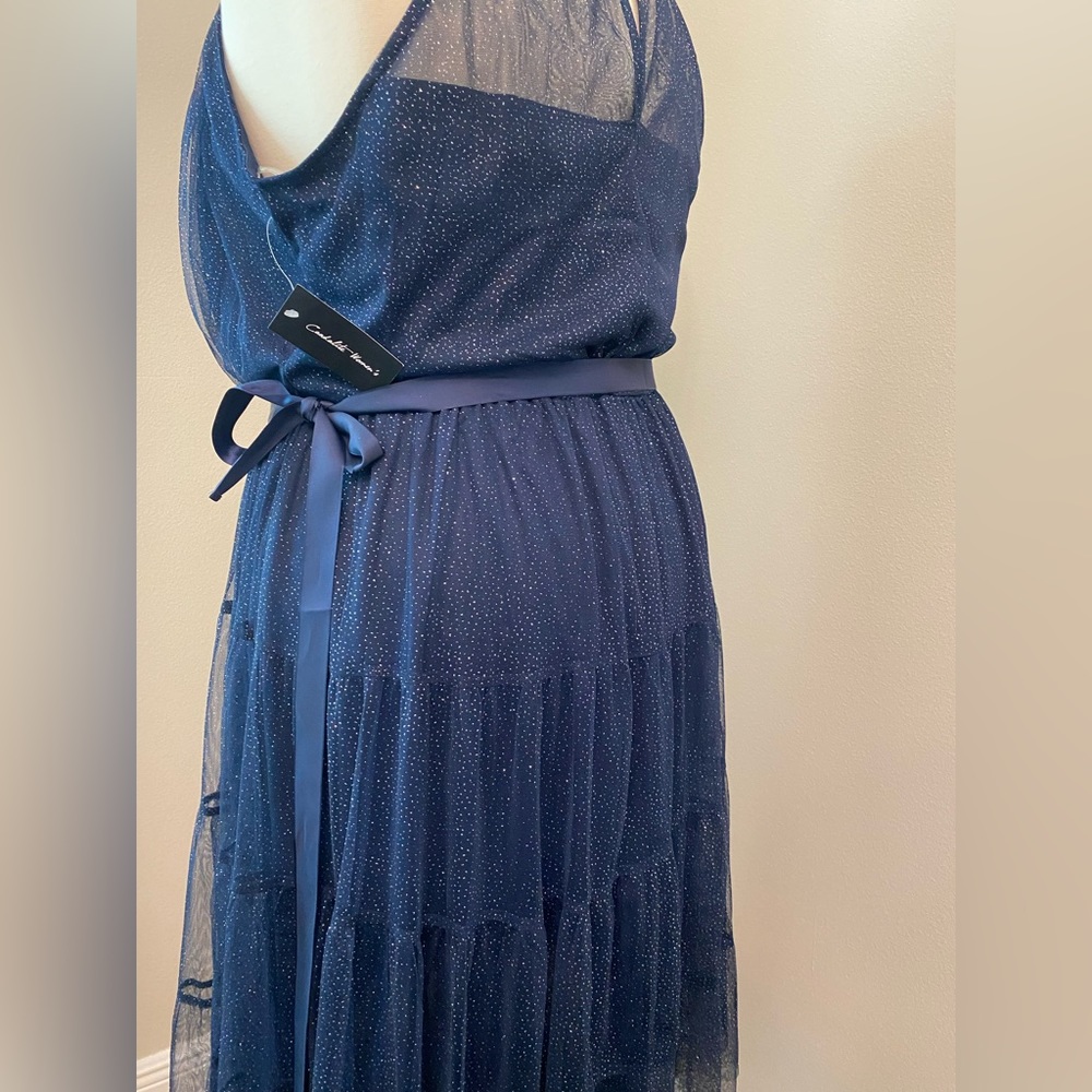Plus Dress - Picture 4 of 4